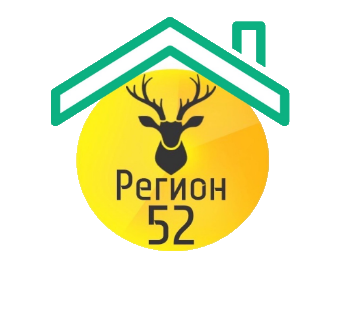 Паблик ВКонтакте Регион-52 | Нижний Новгород, г. Нижний Новгород